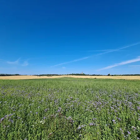 Koningk Lägenhet Putgarten