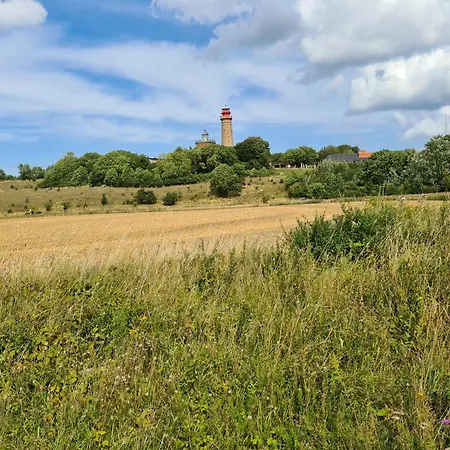 Koningk