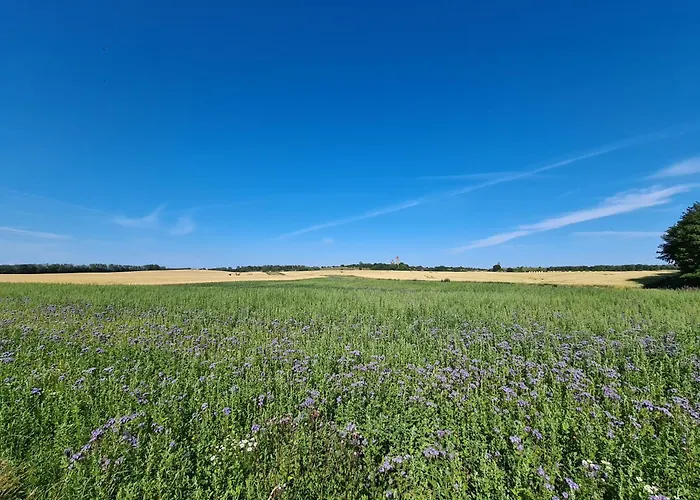 Koningk Lejlighed Putgarten